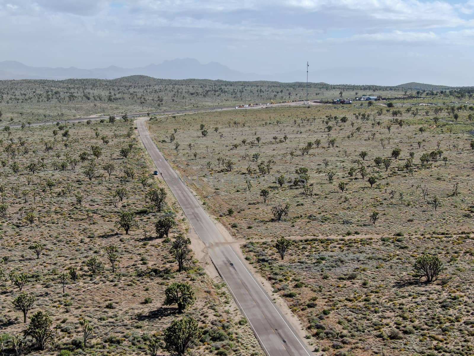 Aerial view of endless desert straight dusty asphalt road in Joshua Tree Park. USA. by Bonandbon
