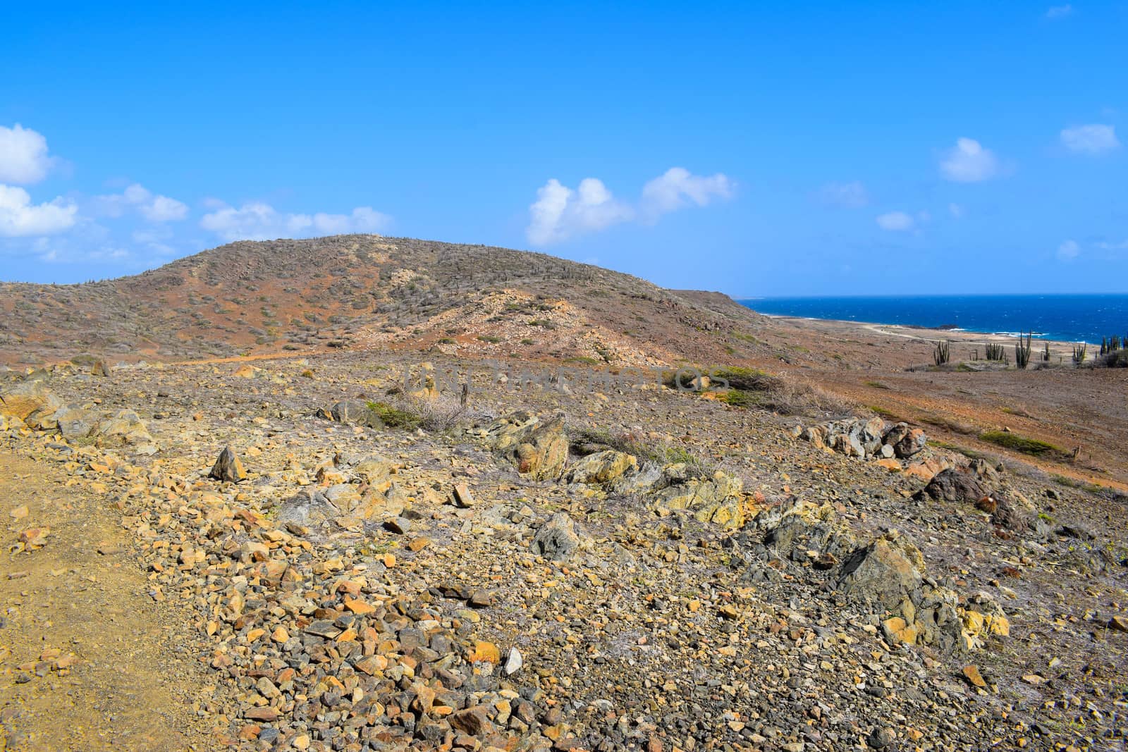 Arikok Natural Park on the island of Aruba in the Caribbean Sea with deserts and ocean waves on the rocky coast by matteobartolini