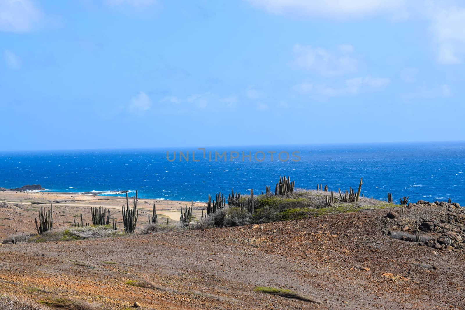 Arikok Natural Park on the island of Aruba in the Caribbean Sea with deserts and ocean waves on the rocky coast by matteobartolini