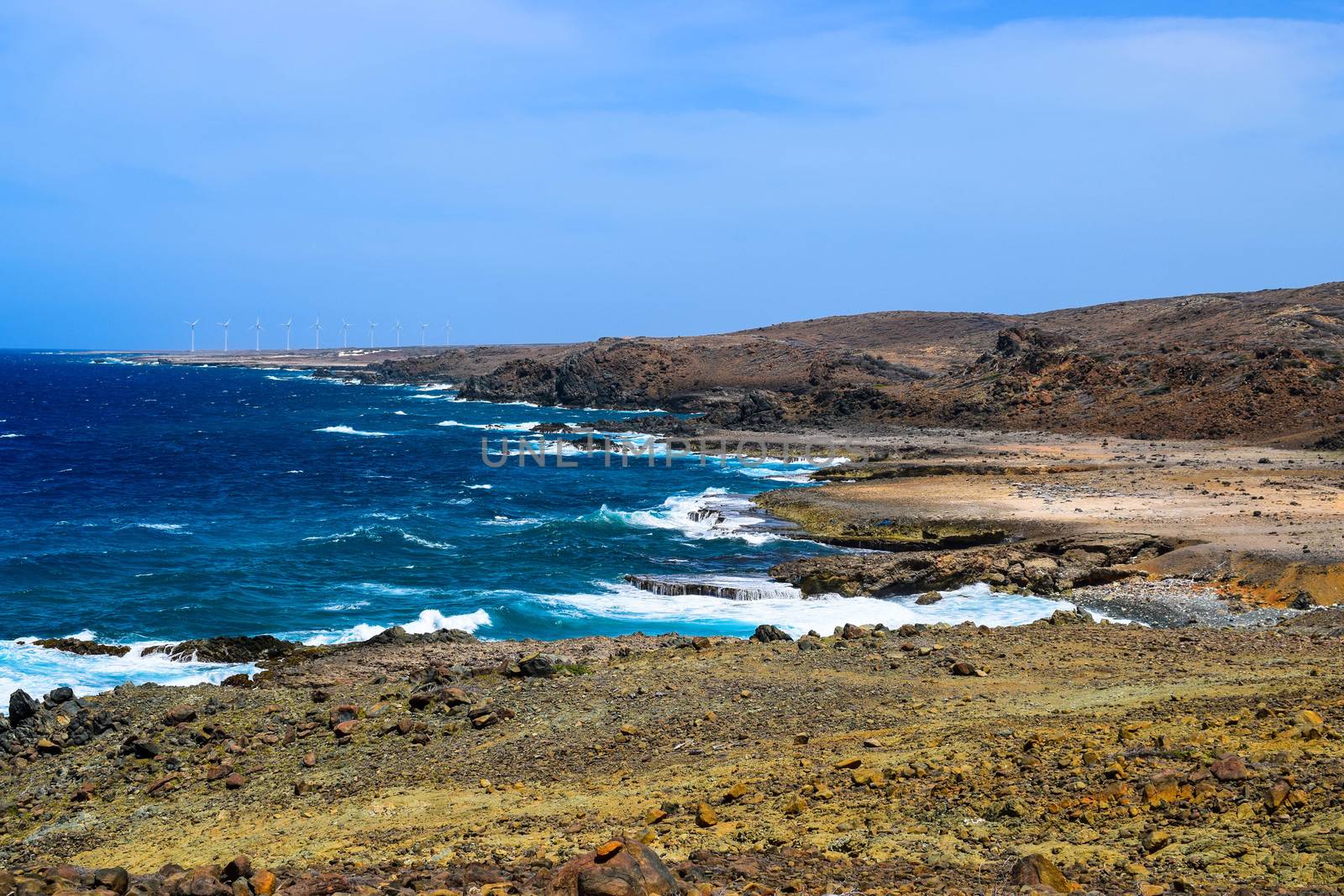 Arikok Natural Park on the island of Aruba in the Caribbean Sea with deserts and ocean waves on the rocky coast by matteobartolini