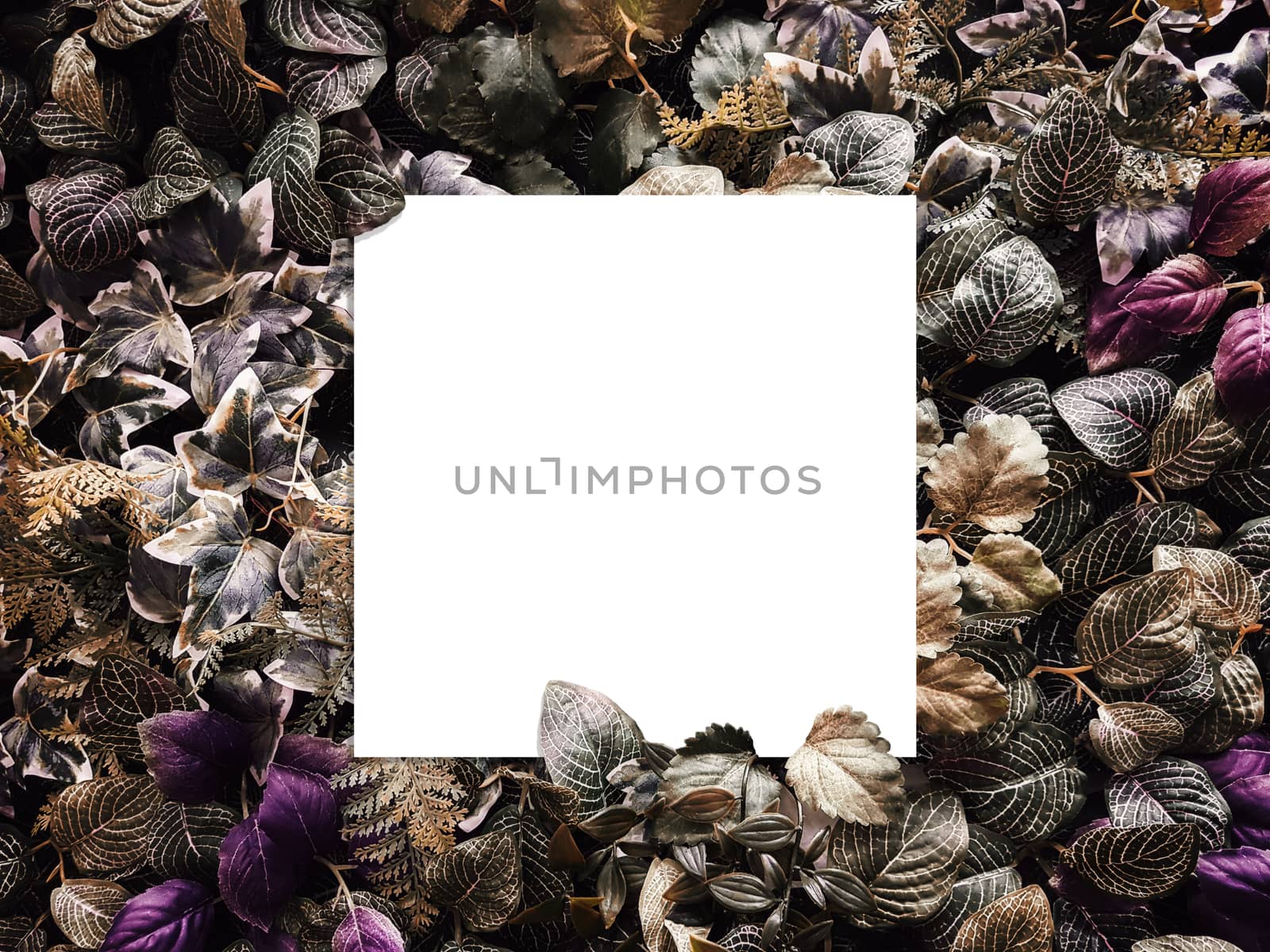 creative layout made of flowers and leaves with copy space from paper card note. flat lay. nature concept