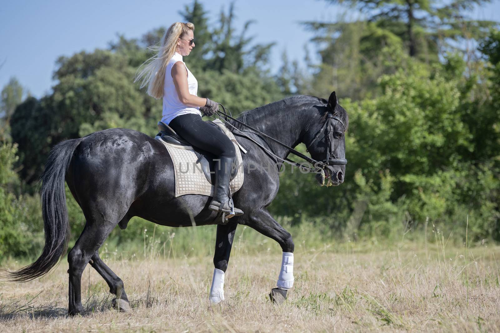  riding girl are training her black horse