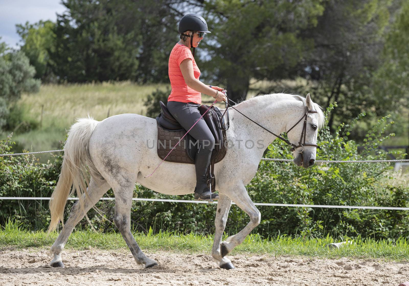  riding girl are training her horse in equestrian center