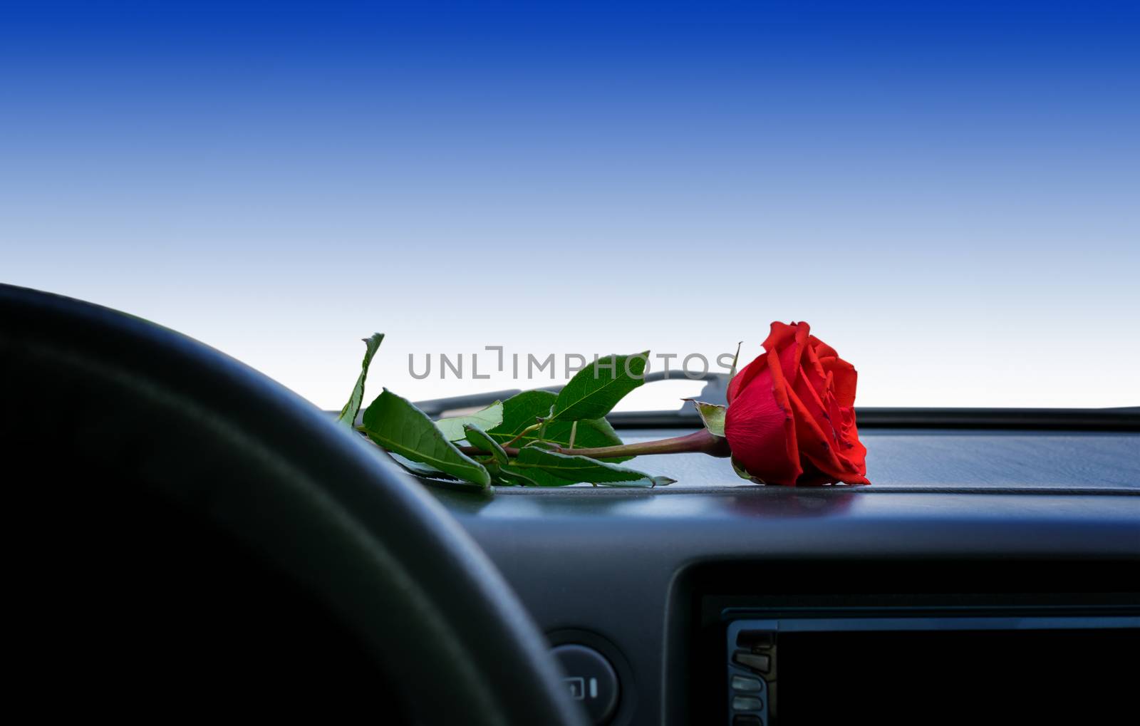 a red rose flower lies on the dashboard inside the car