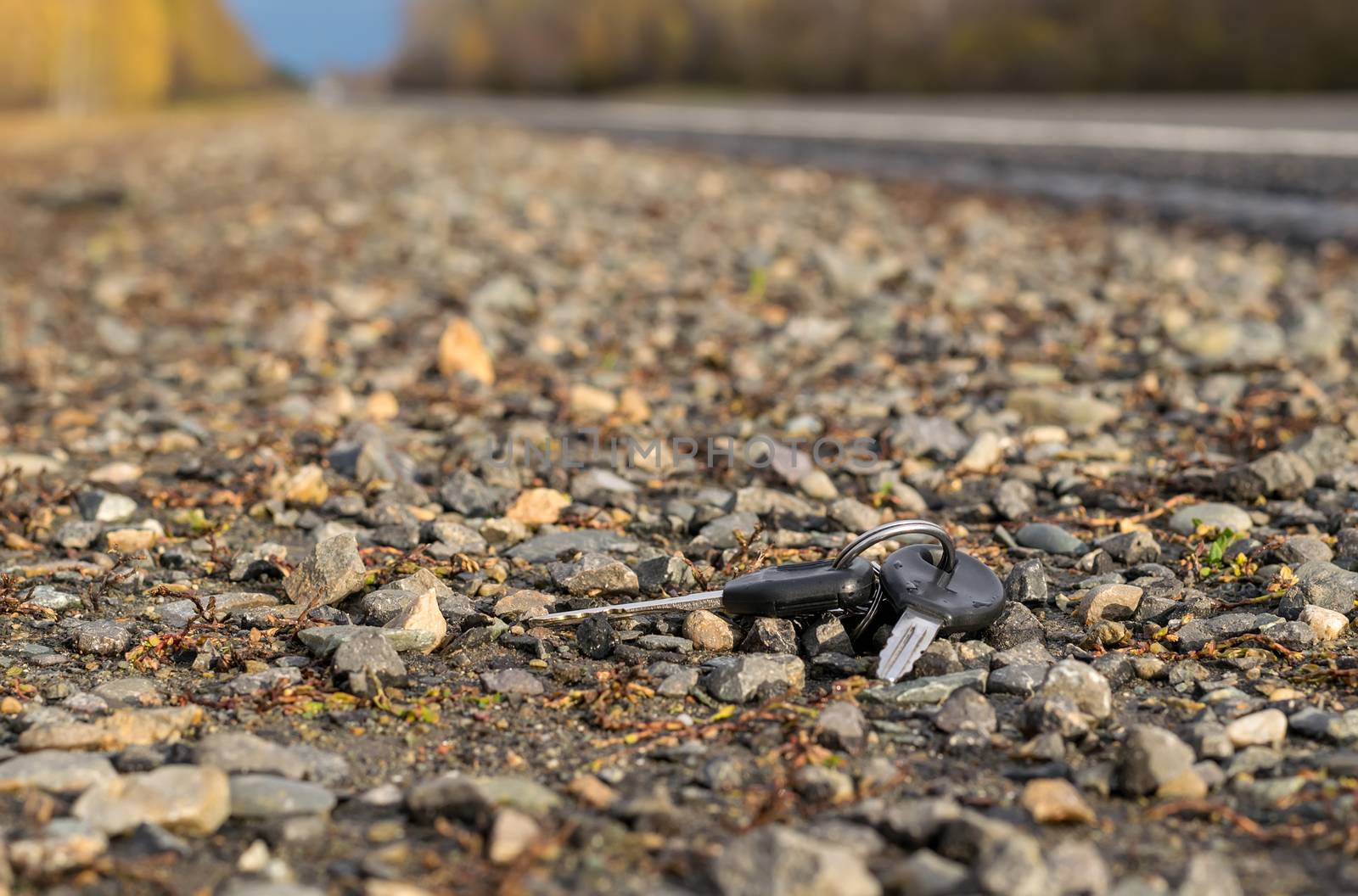 Lost a bunch of keys lying on the asphalt surface of the roadway