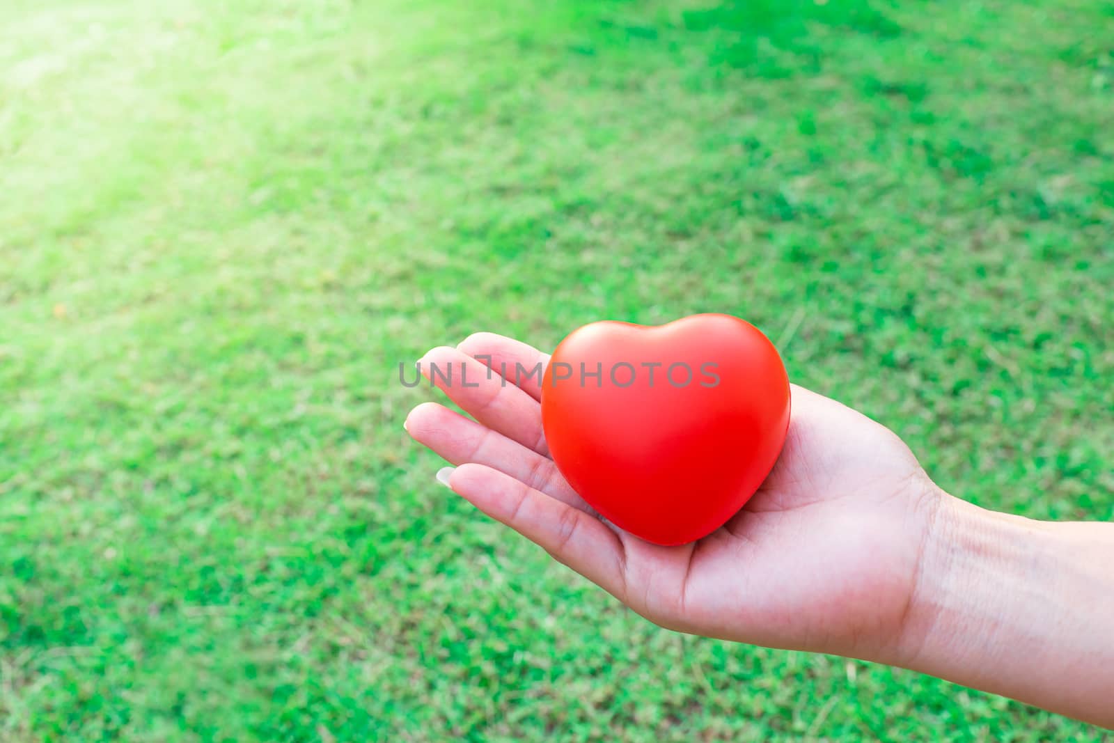 Red heart in the palm of the hand, in the background of a bright by Natstocker