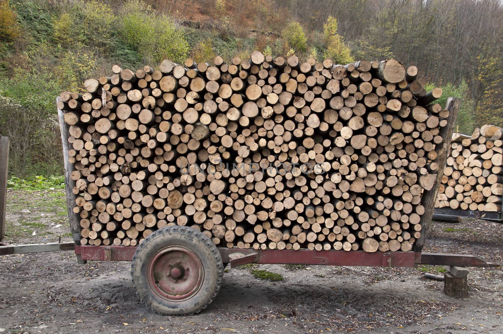 firewood on a trailer by pozezan