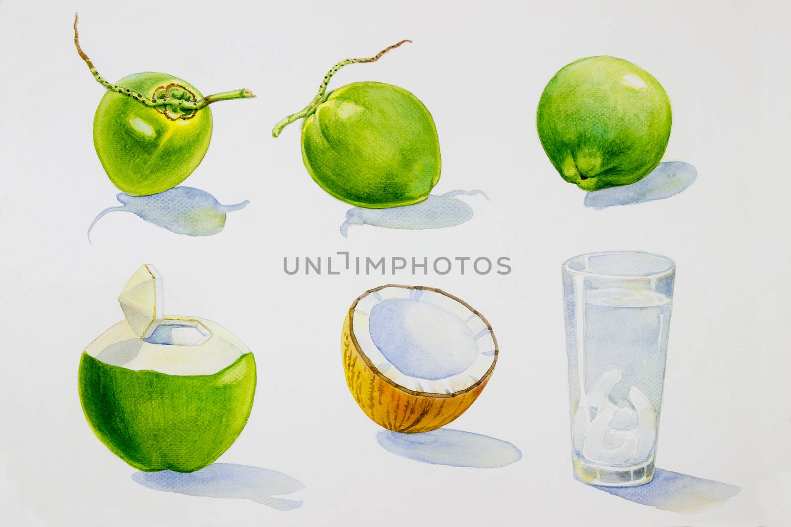 Painting summer coconut collection, isolated. Original hand drawn watercolor paintings, illustration on white background with poster wallpaper for fun party, promotion banner and brochures flyers.