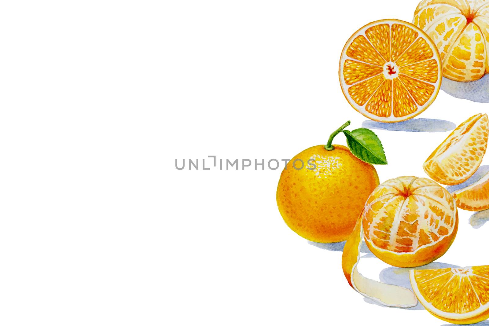 Painting summer orange collection, isolated. Original hand drawn watercolor paintings, illustration on white background with poster wallpaper for fun party, promotion banner and brochures flyers.