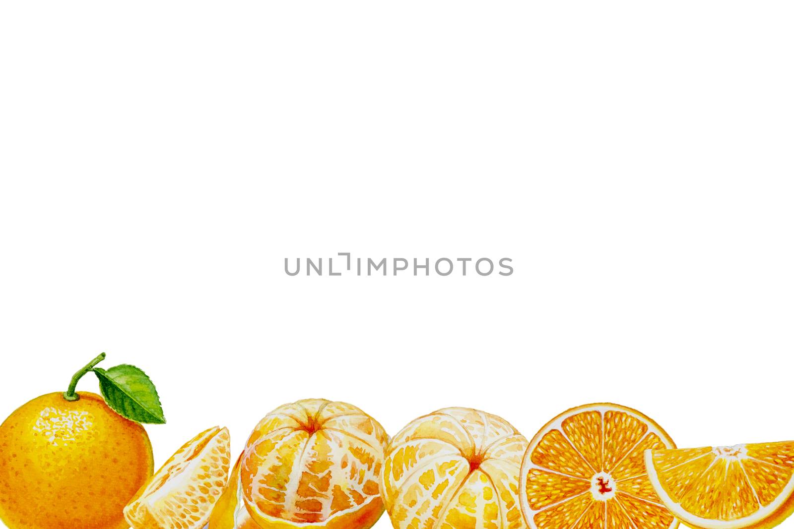Painting summer orange collection, isolated. by Painterstok