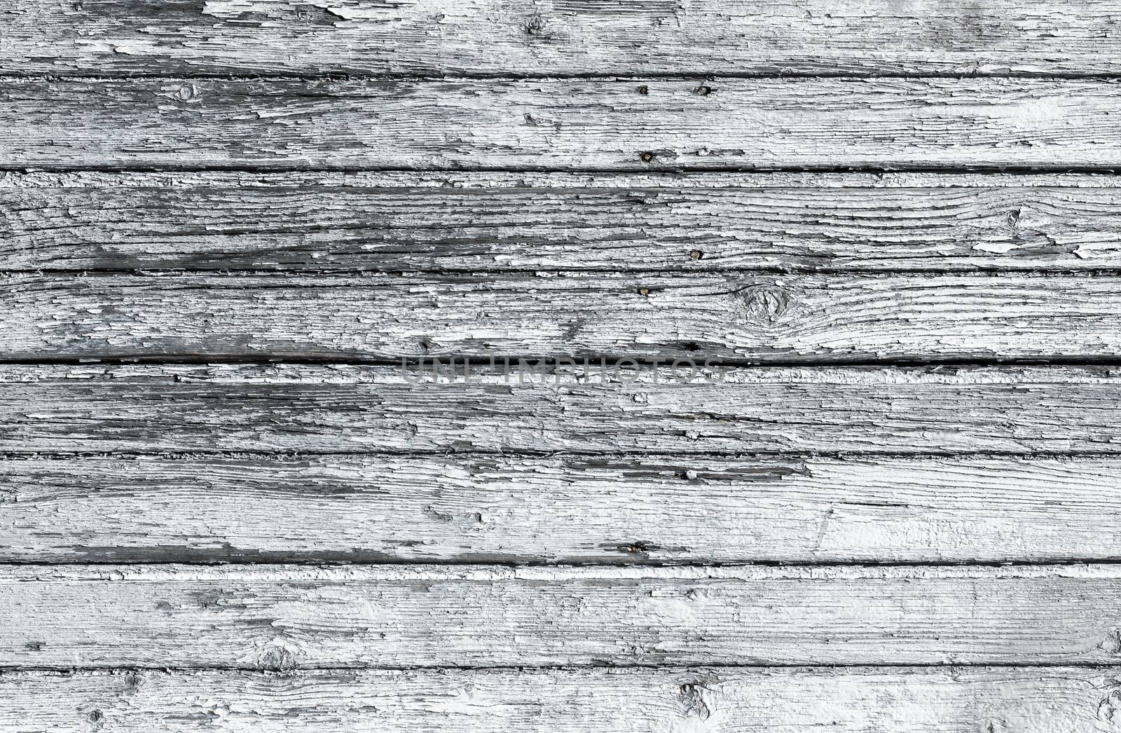 Old wooden white painted surface by germanopoli