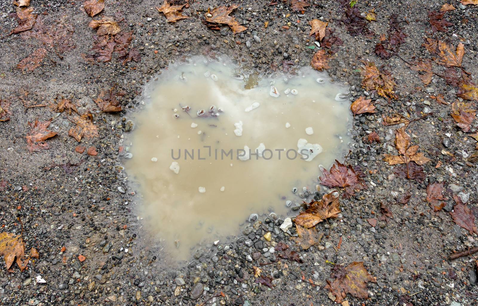 Heart puddle by germanopoli