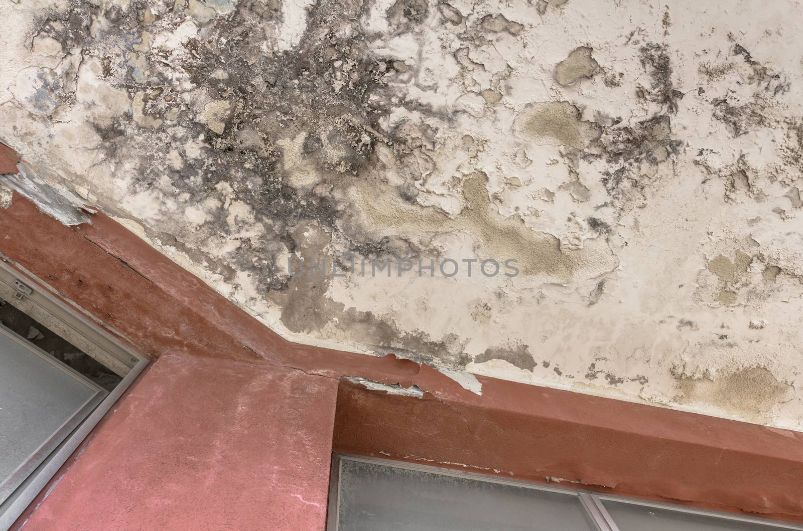 Black Mold growth and stains on the ceiling of an abandoned hotel or house.