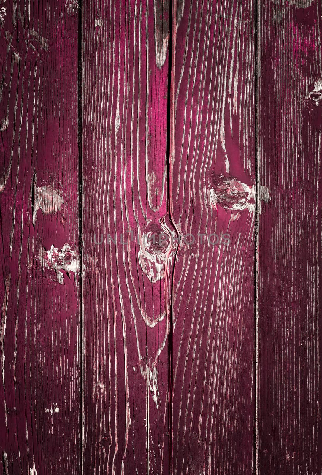 Painted old wooden wall. Pink and fuchsia background.