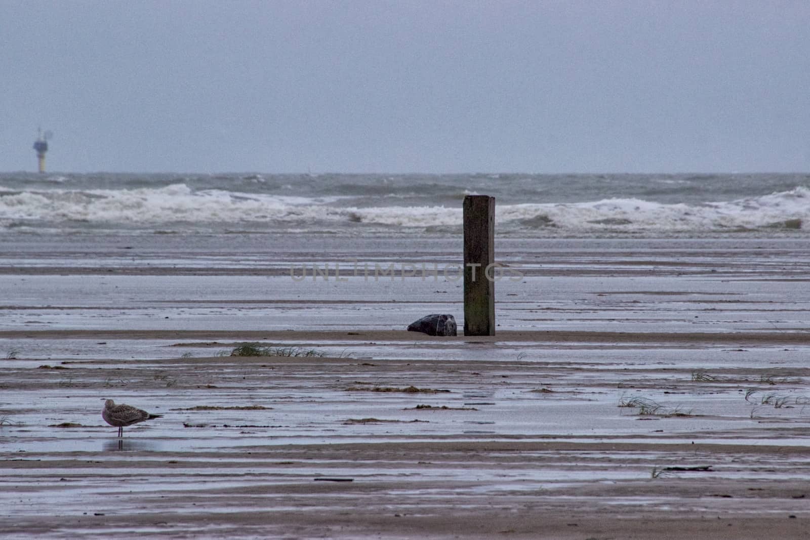 View of the seaside in winter