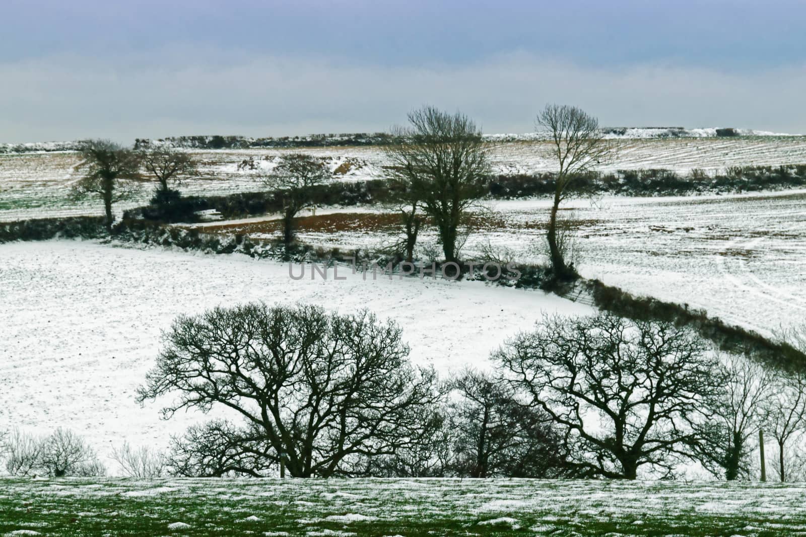 Both Panoramic and some more detailed images of beautiful country scenes.