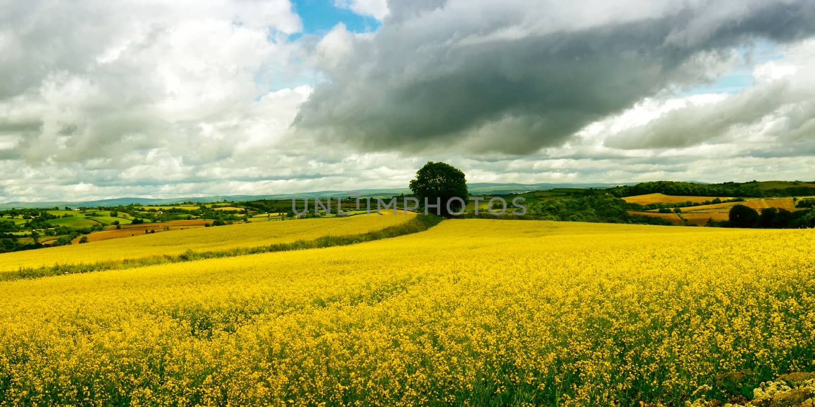 Both Panoramic and some more detailed images of beautiful country scenes.