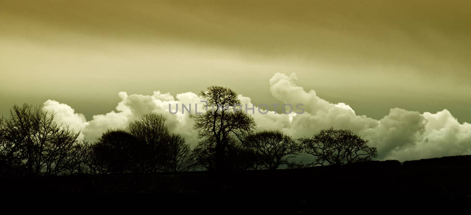 Both Panoramic and some more detailed images of beautiful country scenes.