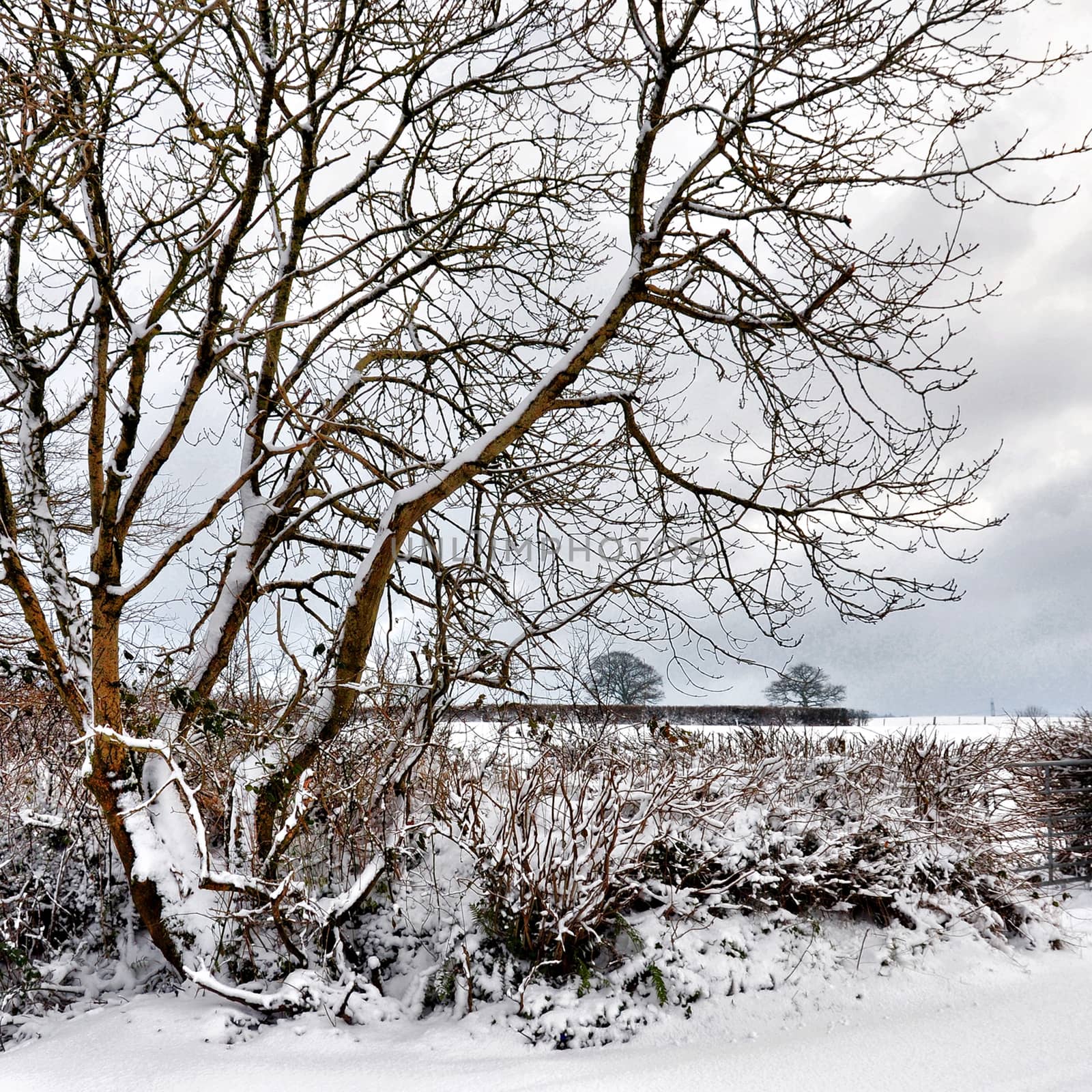 Both Panoramic and some more detailed images of beautiful country scenes.