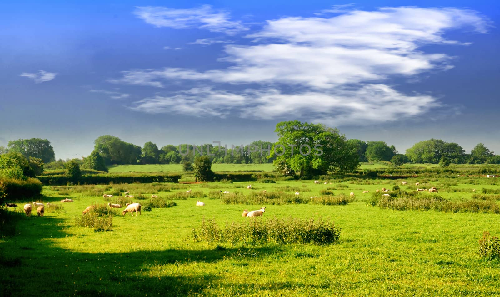 Both Panoramic and some more detailed images of beautiful country scenes.