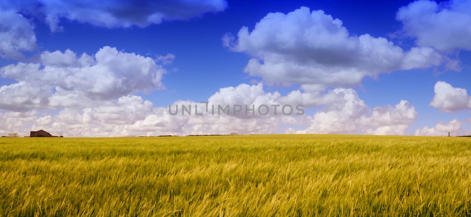 Both Panoramic and some more detailed images of beautiful country scenes.