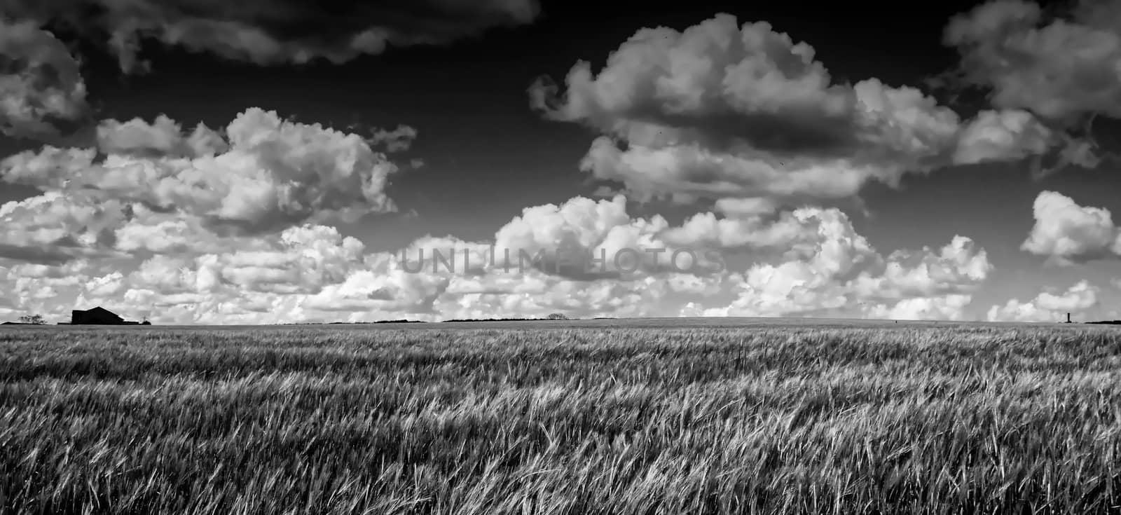 Both Panoramic and some more detailed images of beautiful country scenes.