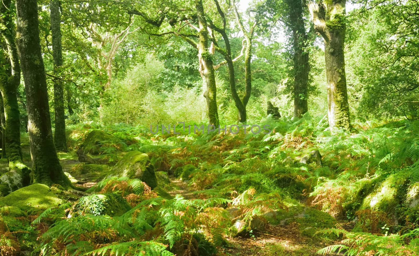 Both Panoramic and some more detailed images of beautiful country scenes.