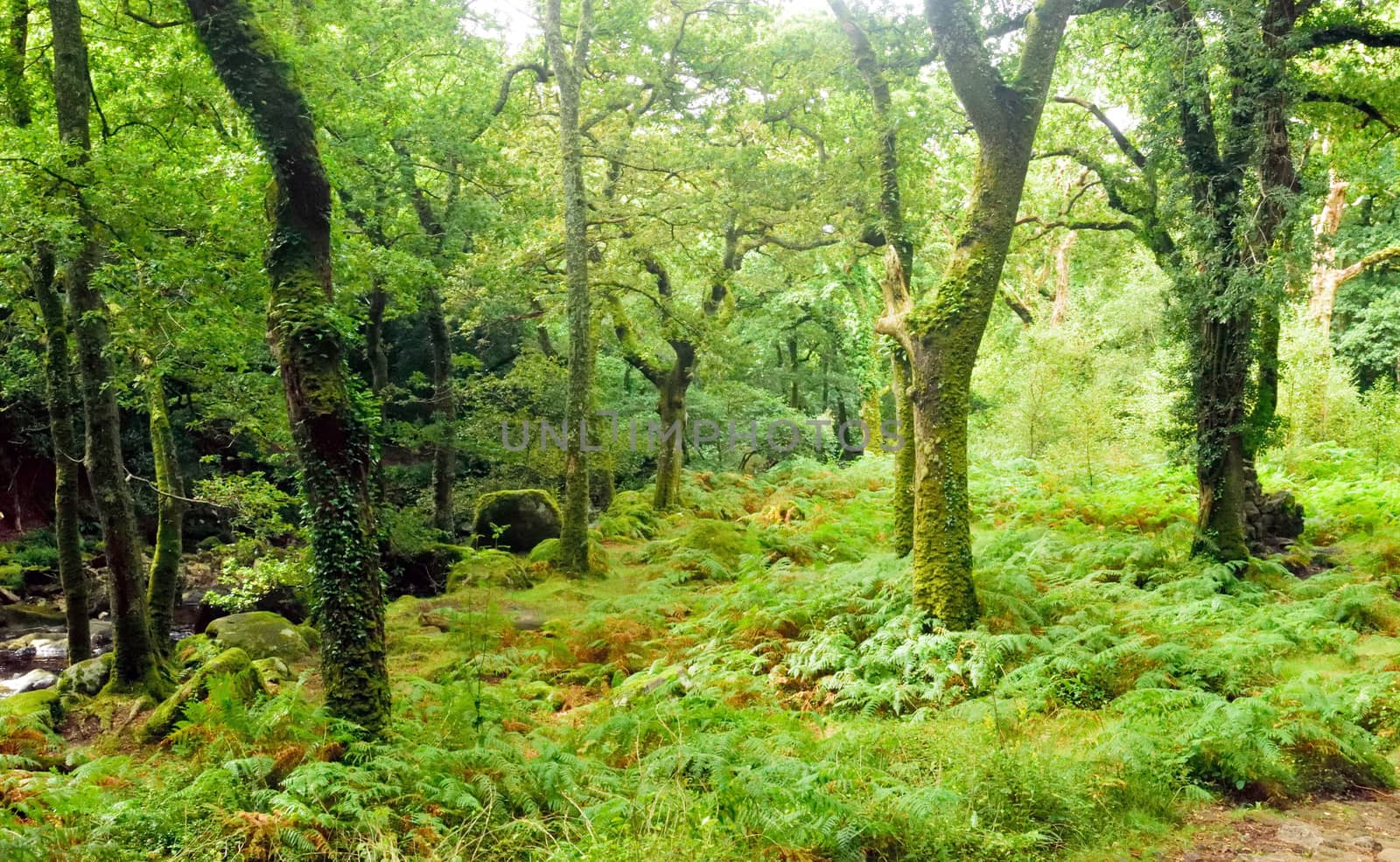 Both Panoramic and some more detailed images of beautiful country scenes.