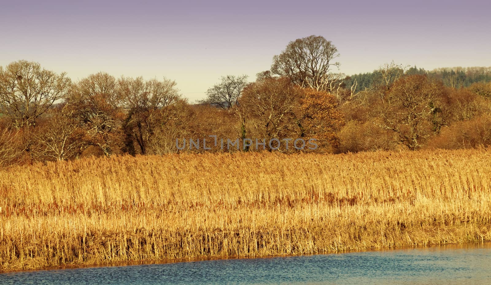 Both Panoramic and some more detailed images of beautiful country scenes.