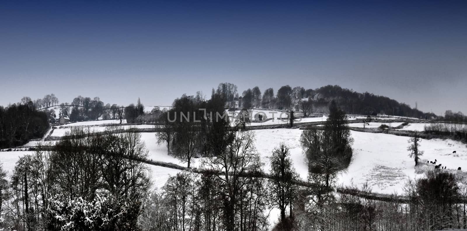 Both Panoramic and some more detailed images of beautiful country scenes.