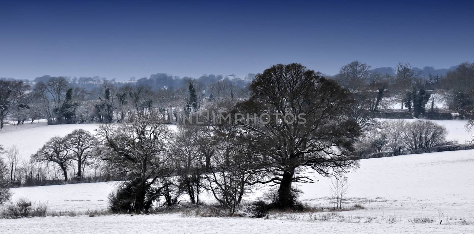 Both Panoramic and some more detailed images of beautiful country scenes.