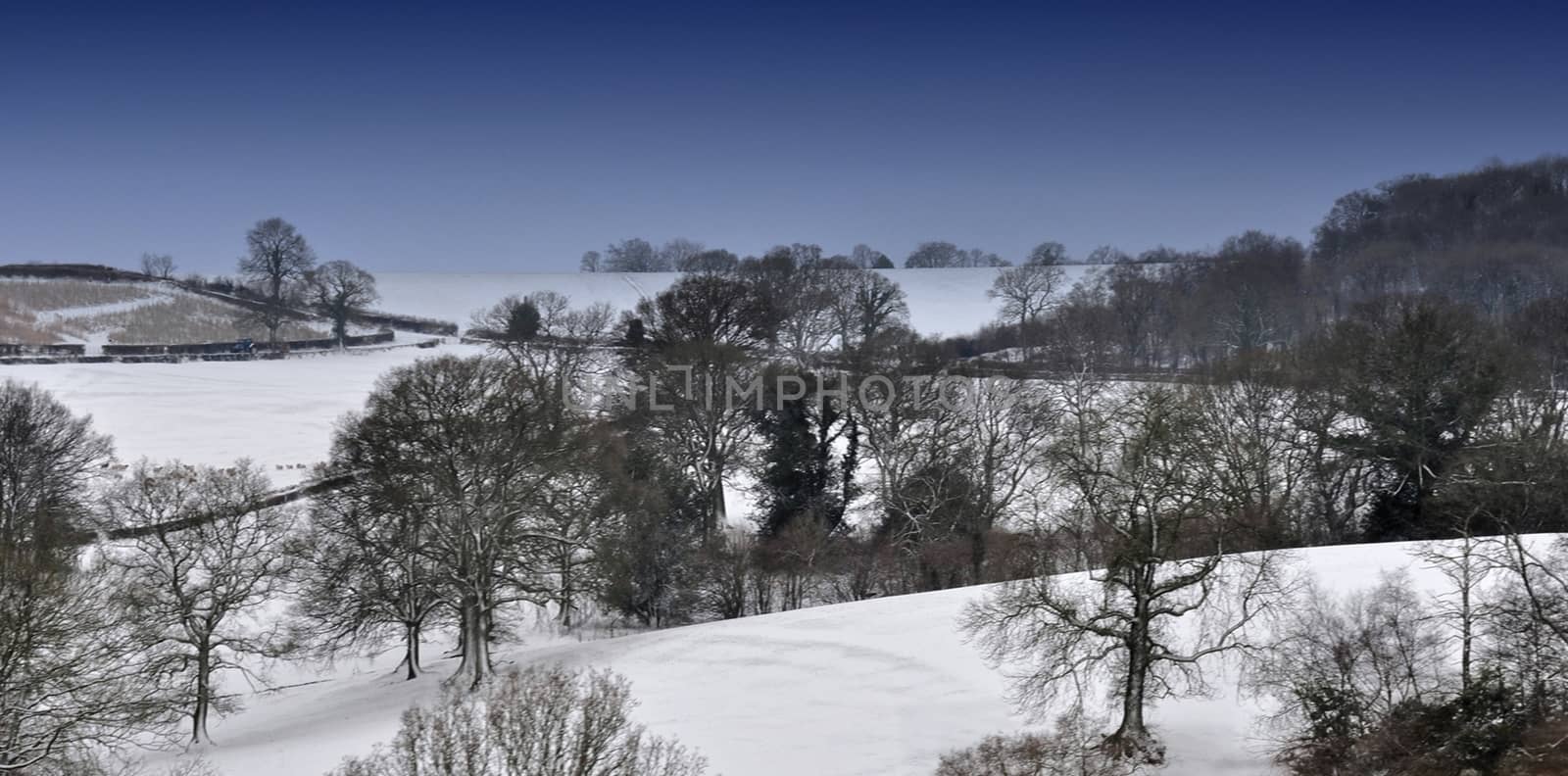 Both Panoramic and some more detailed images of beautiful country scenes.