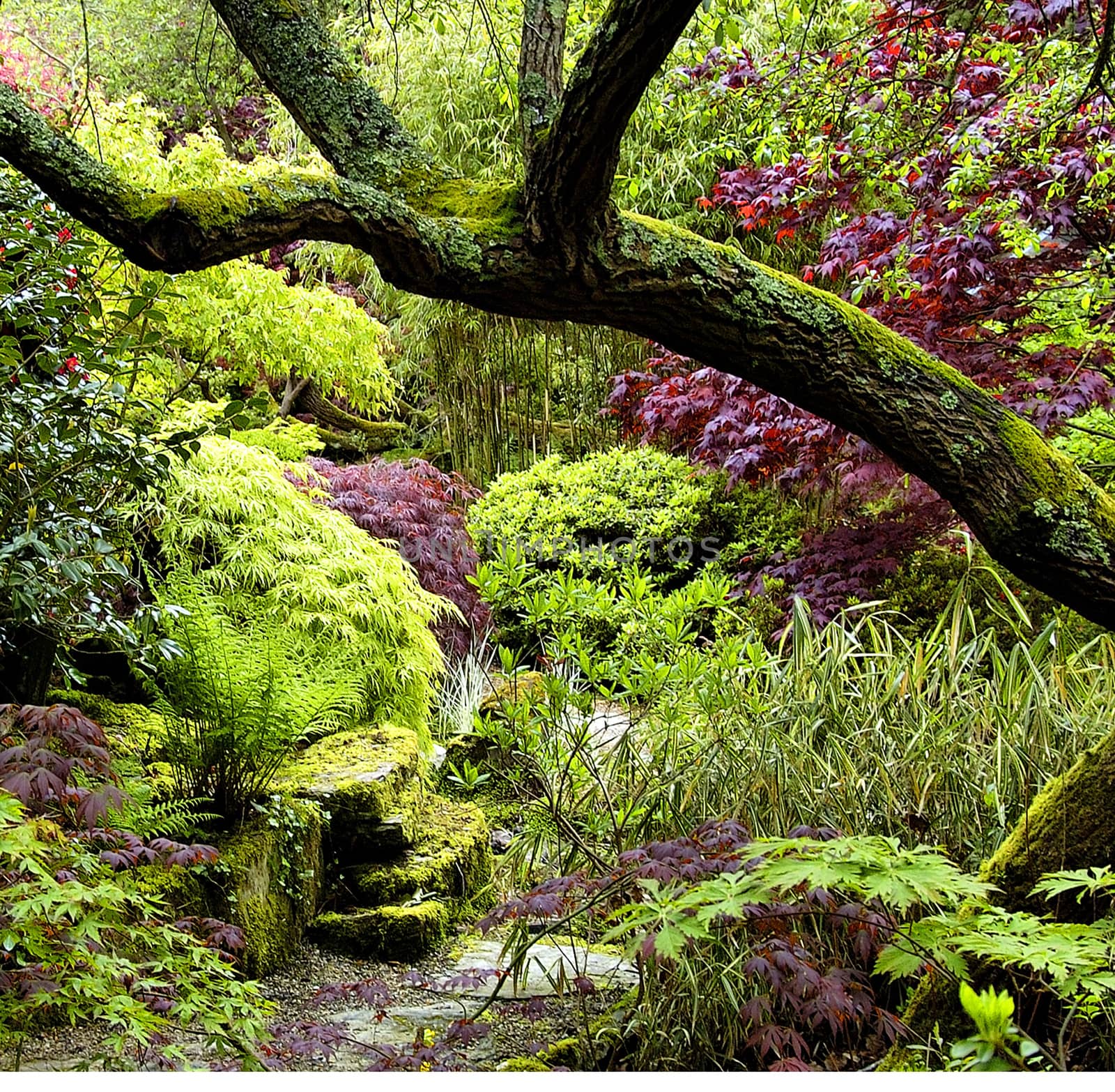 Both Panoramic and some more detailed images of beautiful country scenes.