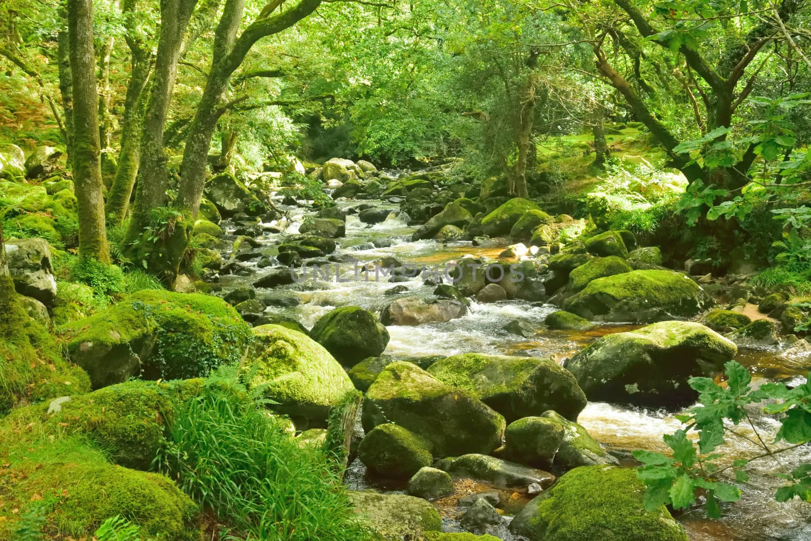 Both Panoramic and some more detailed images of beautiful country scenes.