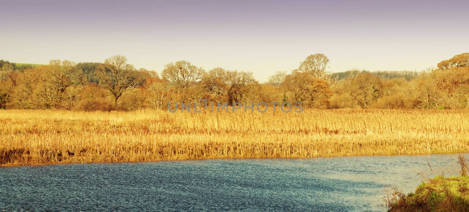 Both Panoramic and some more detailed images of beautiful country scenes.