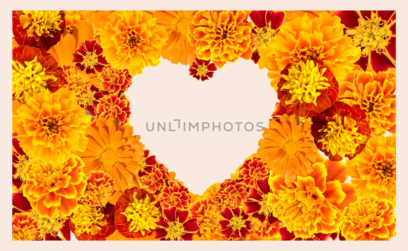 Beautiful floral heart shape frame with Various Yellow, orange color Flowers collection.