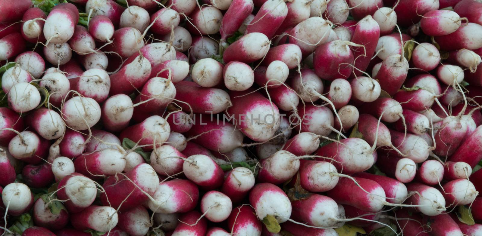 Radishes on a Market Stall