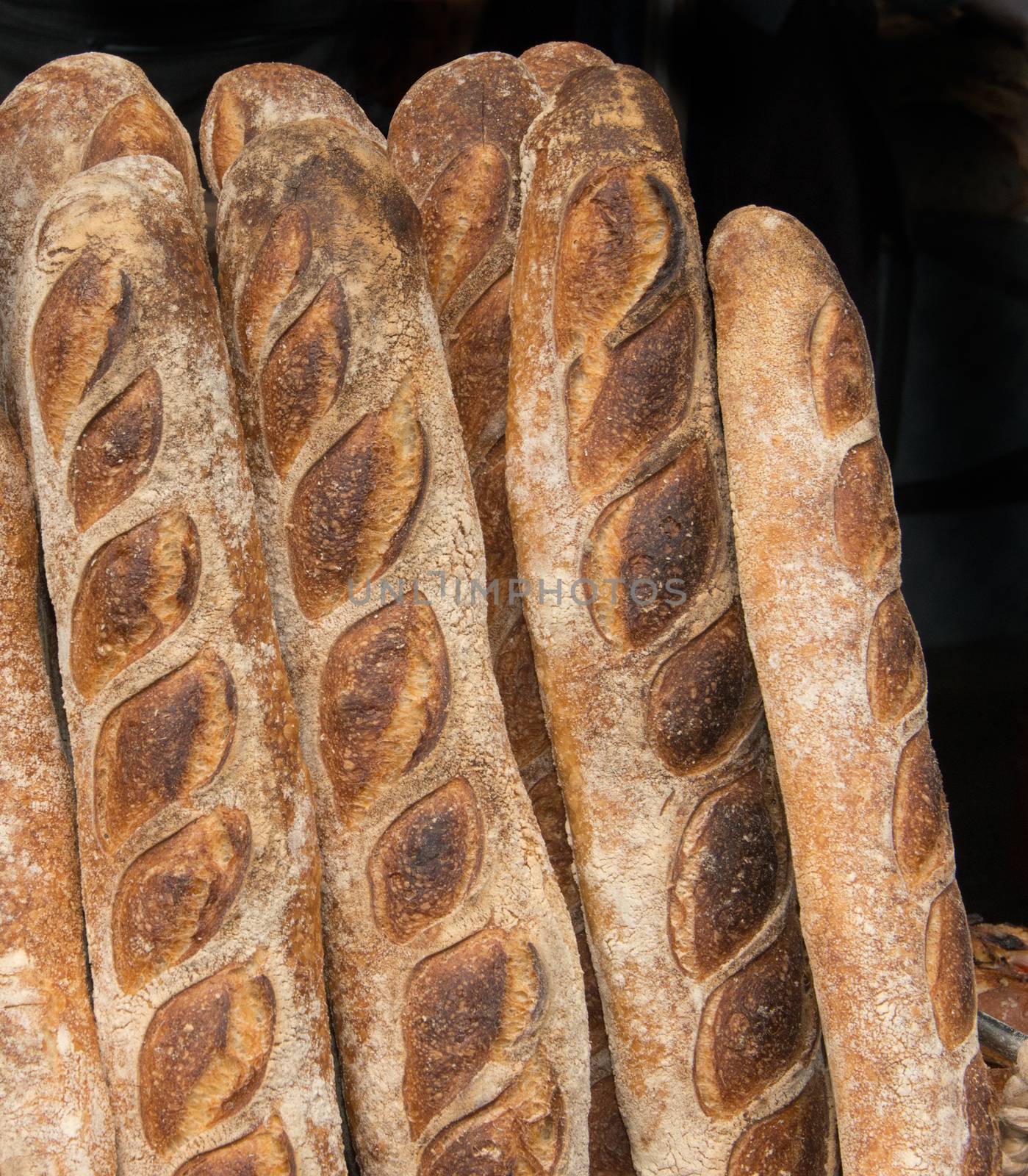 Sour Dough Raisin Loaf