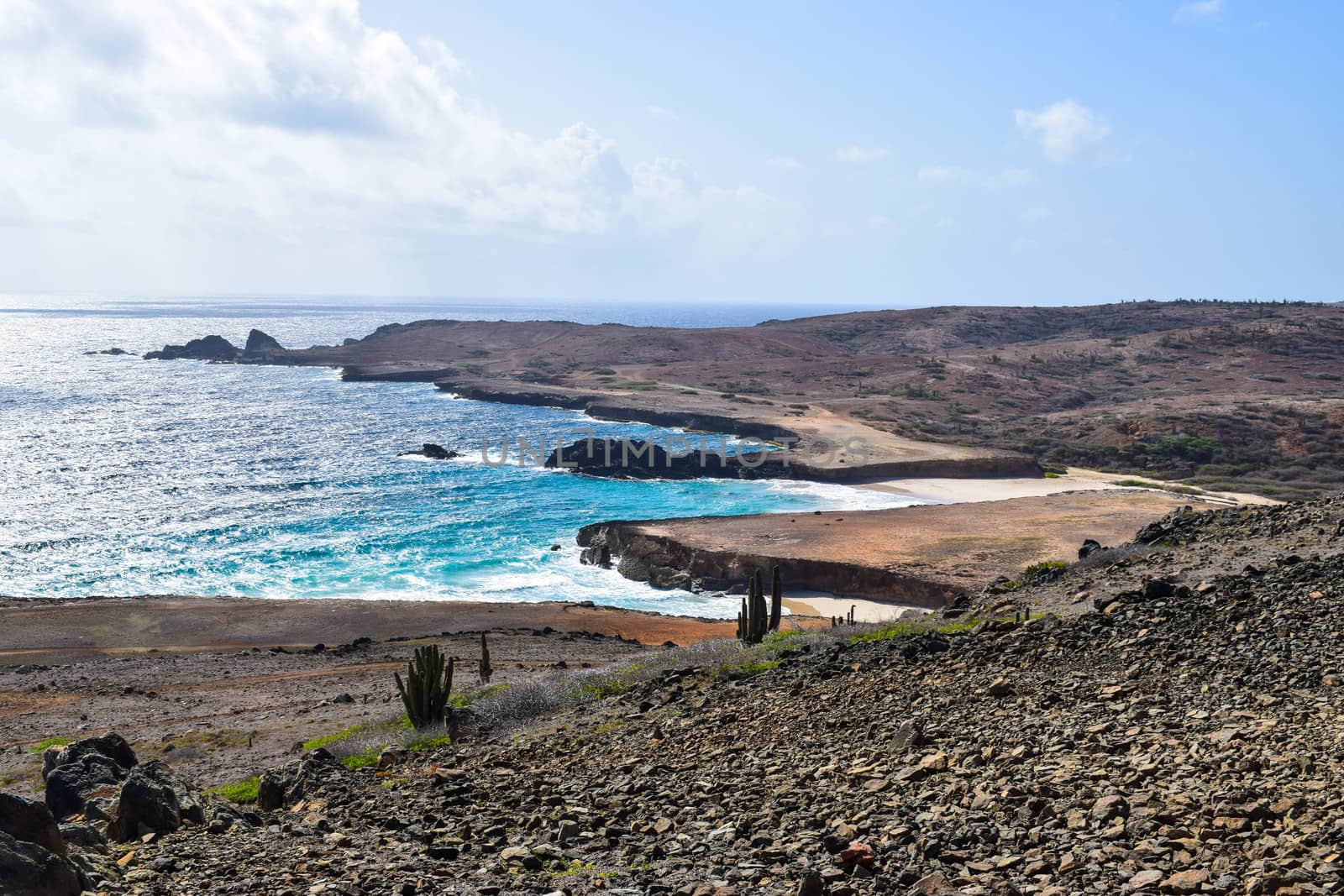 Arikok Natural Park on the island of Aruba in the Caribbean Sea with deserts and ocean waves on the rocky coast