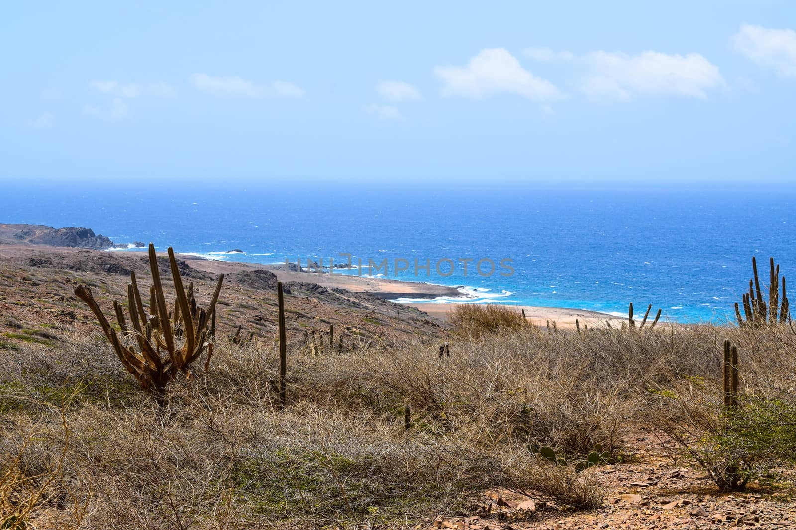 Arikok Natural Park on the island of Aruba in the Caribbean Sea with deserts and ocean waves on the rocky coast