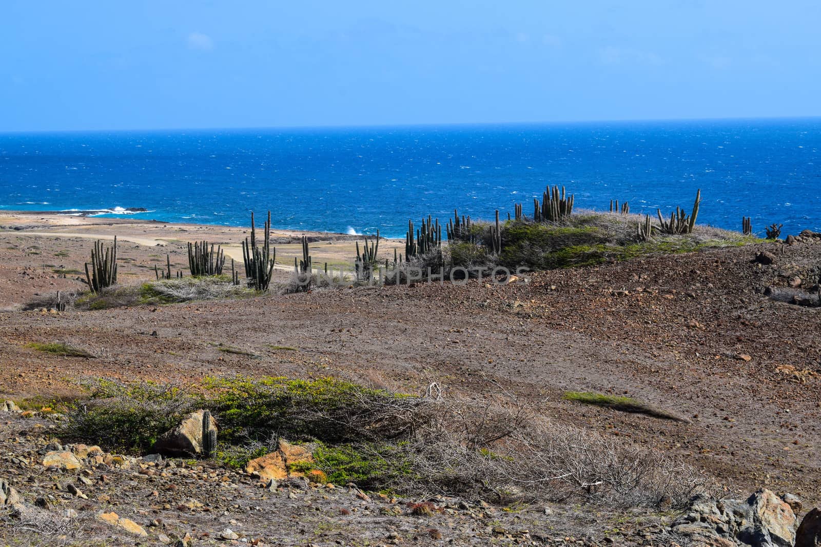 Arikok Natural Park on the island of Aruba in the Caribbean Sea with deserts and ocean waves on the rocky coast
