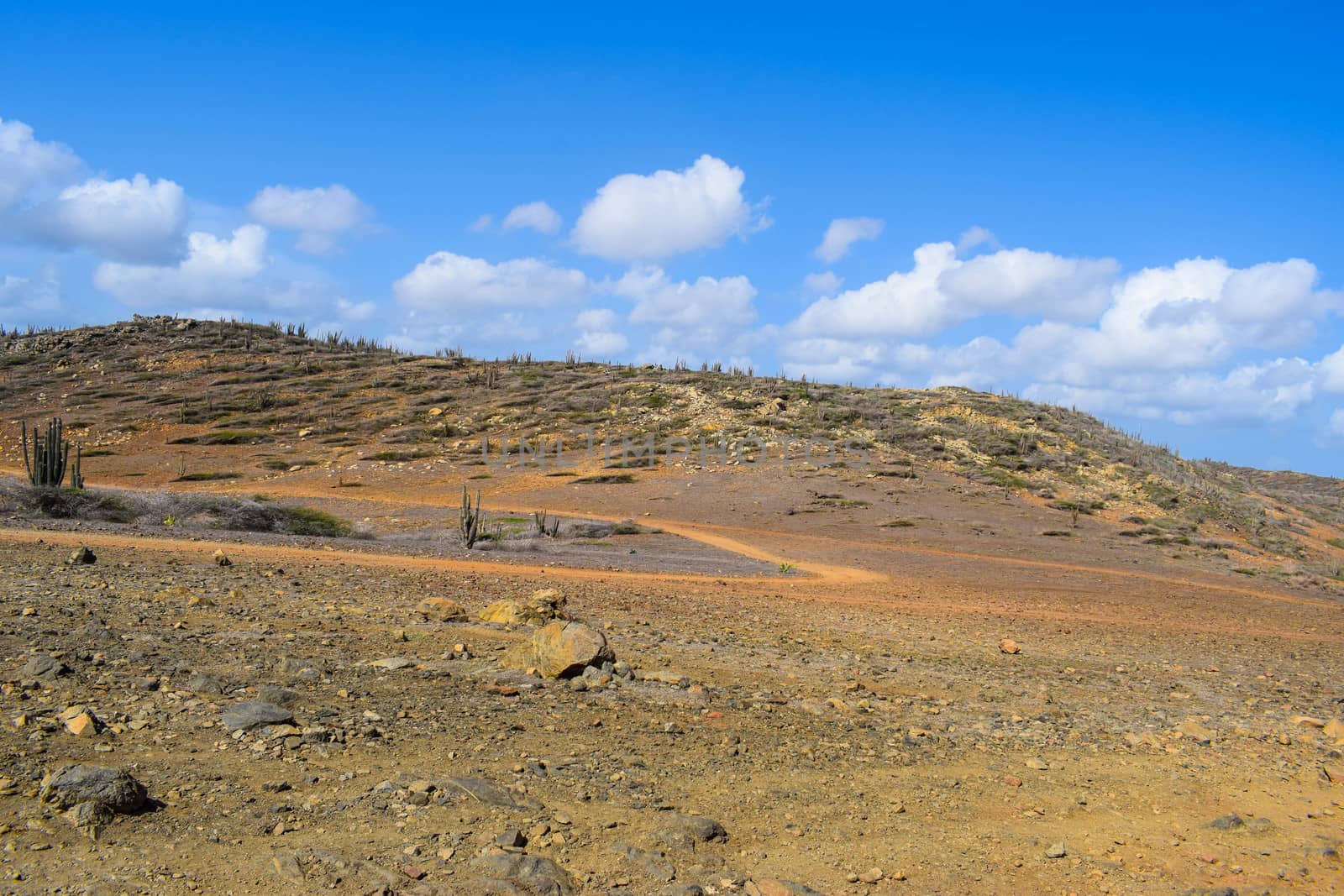 Arikok Natural Park on the island of Aruba in the Caribbean Sea with deserts and ocean waves on the rocky coast