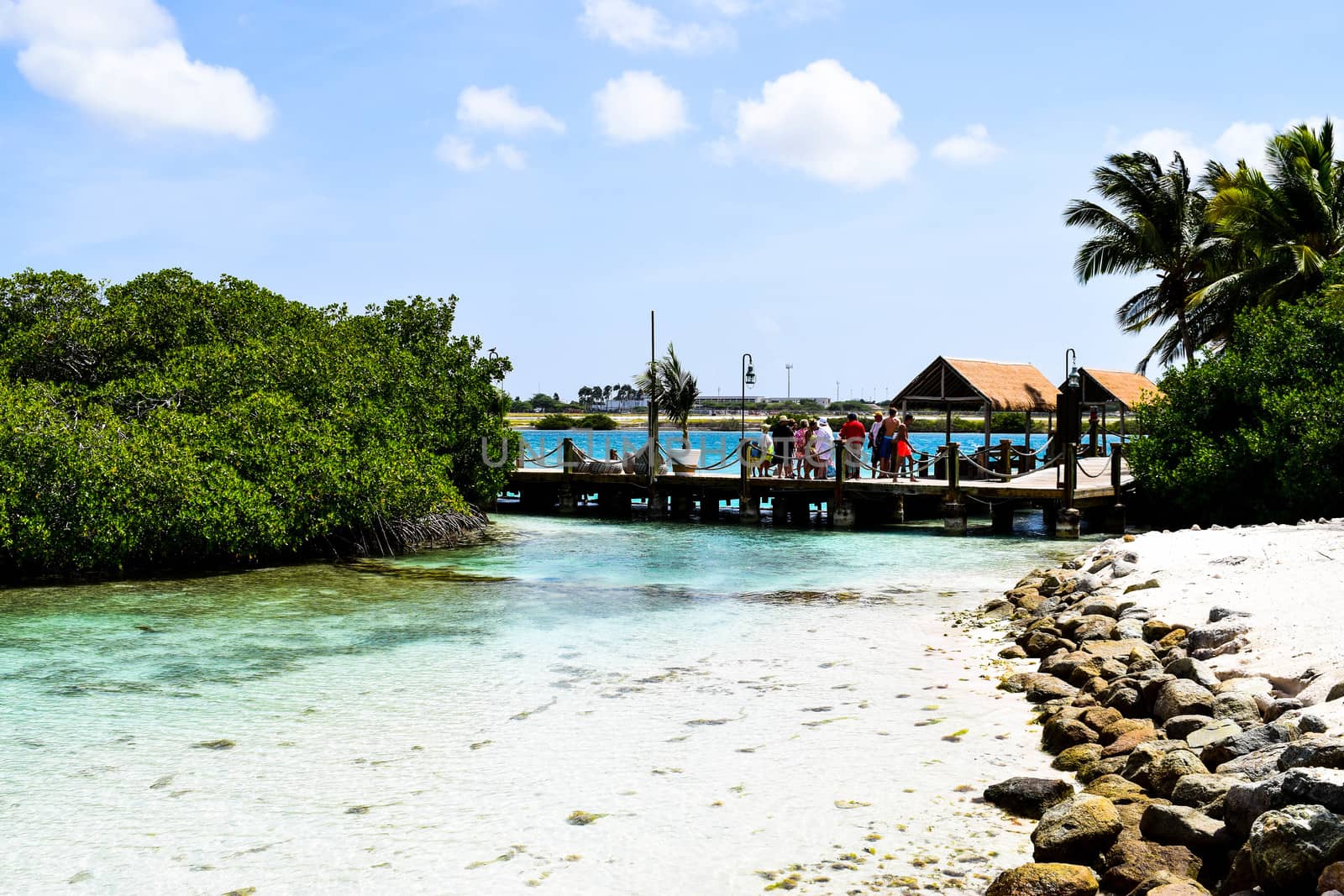 Aruba, Renaissance Island, Caribbean Sea. Sunny beach with white sand, coconut palm trees and turquoise sea. Summer vacation, tropical beach and pink flamingos