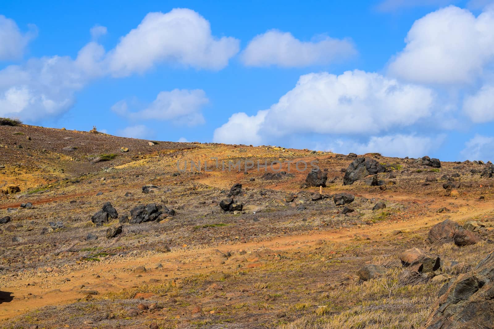 Arikok Natural Park on the island of Aruba in the Caribbean Sea with deserts and ocean waves on the rocky coast