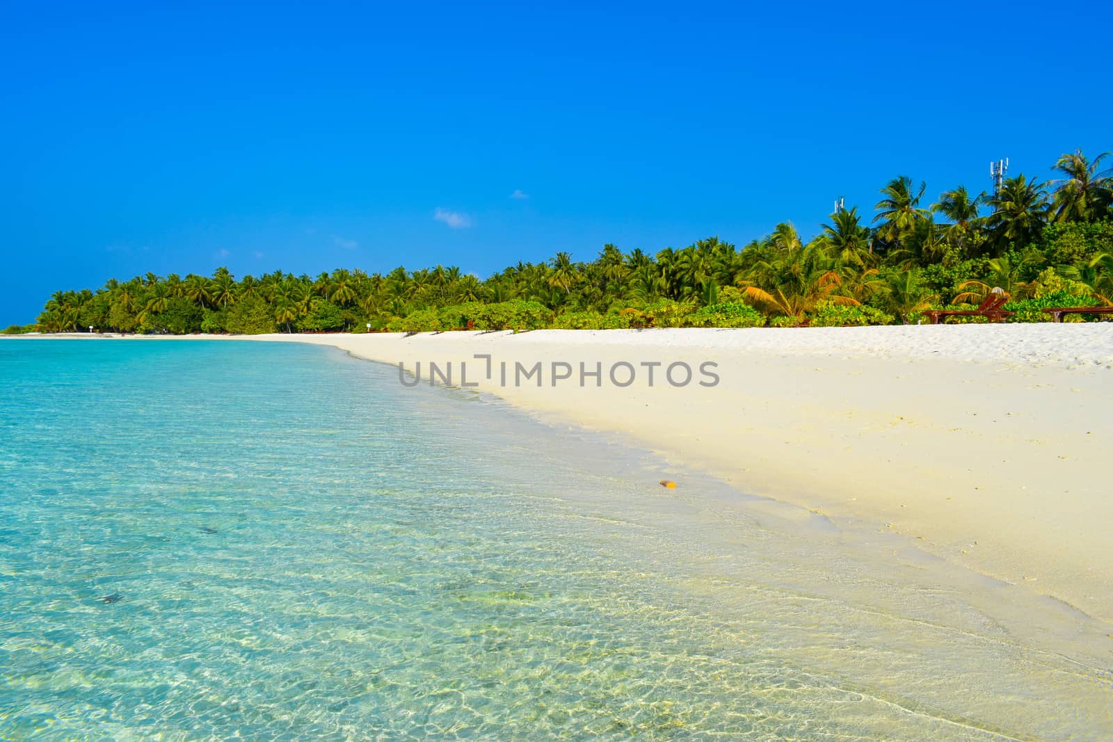 Sunny beach with white sand, coconut palm trees and turquoise sea. Summer vacation and tropical beach concept. Overwater at Maldive Island resort.