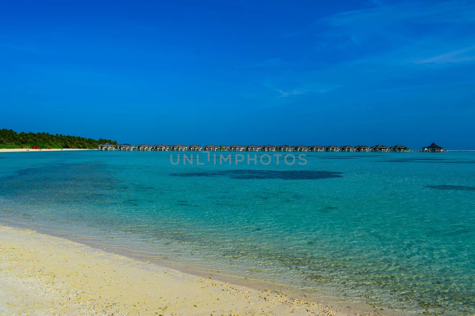 Sunny beach with white sand, coconut palm trees and turquoise sea. Summer vacation and tropical beach concept. Overwater at Maldive Island resort.