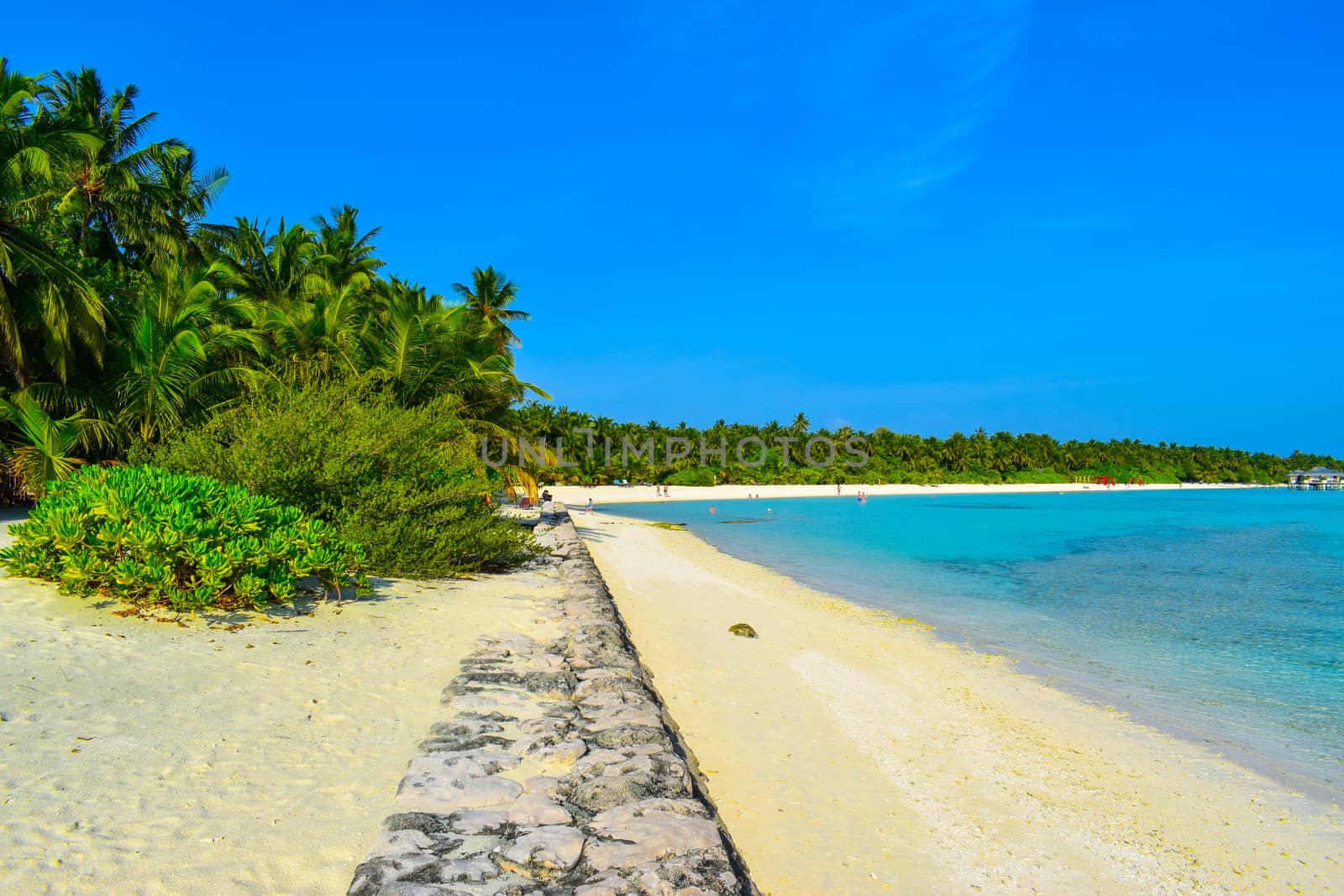 Sunny beach with white sand, coconut palm trees and turquoise sea. Summer vacation and tropical beach concept. Overwater at Maldive Island resort.