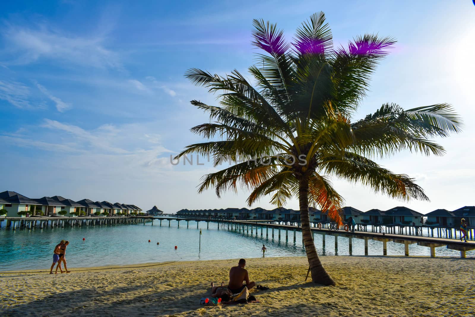 Sunny beach with white sand, coconut palm trees and turquoise sea. Summer vacation and tropical beach concept. Overwater at Maldive Island resort.