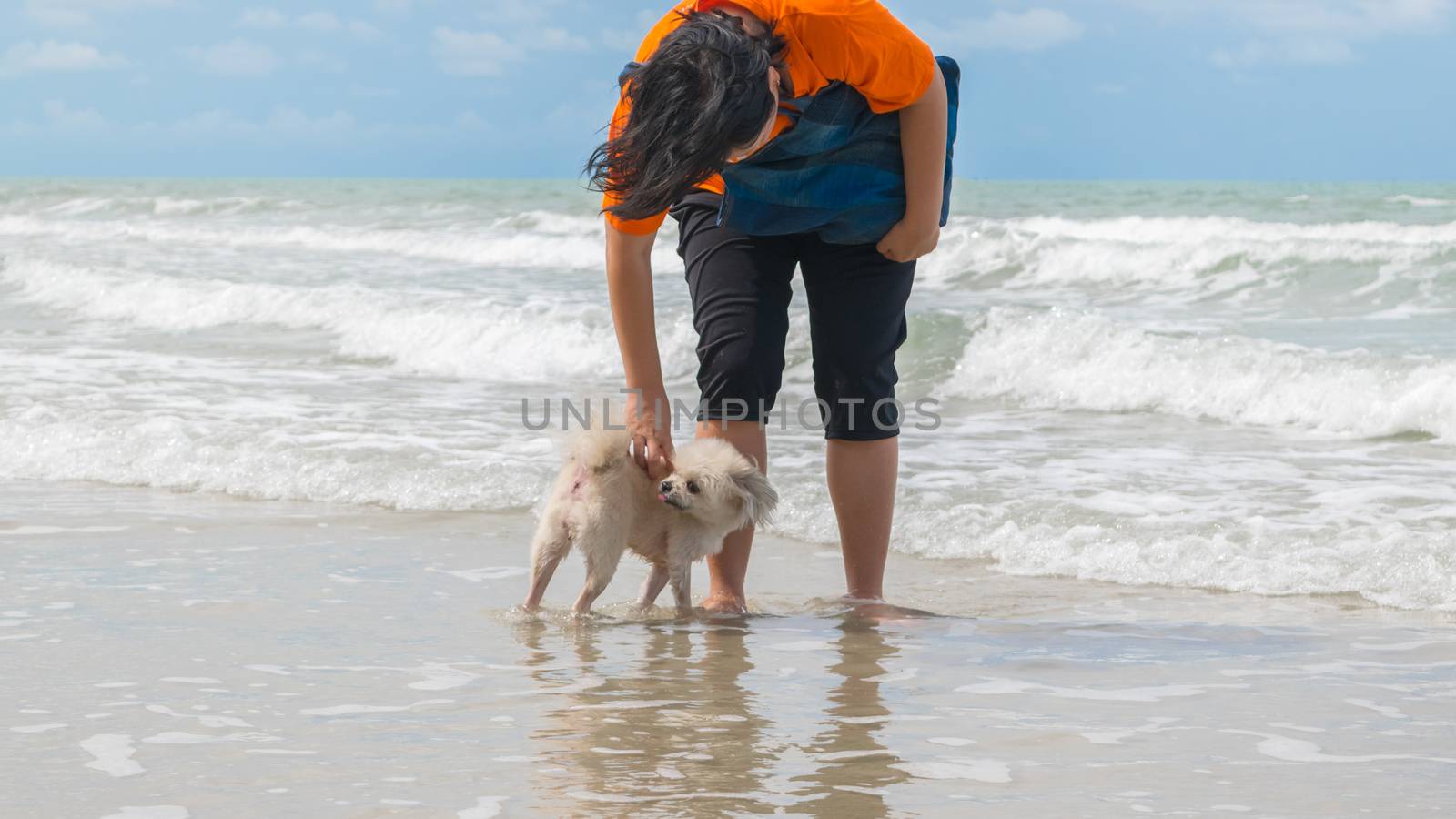 Dog so cute beige color travel at beach by PongMoji