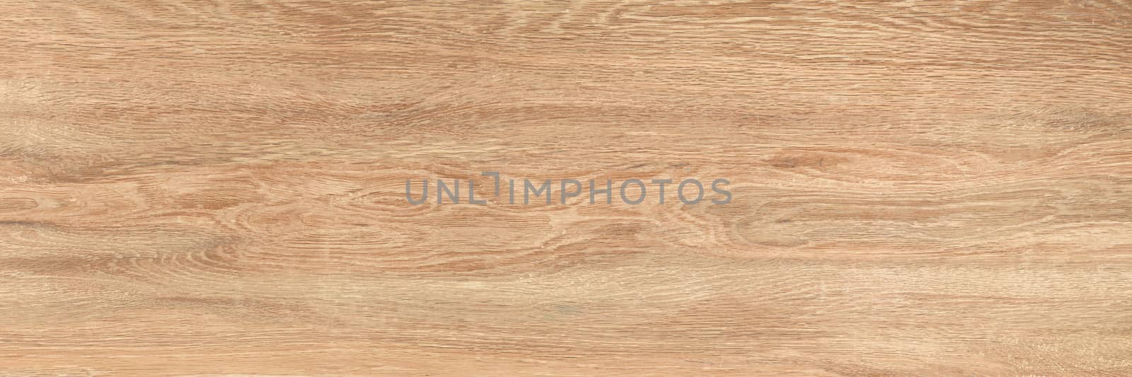 high resolution oak wooden texture